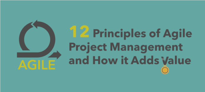 12 Principles of Agile Project Management and How it Adds Value ...