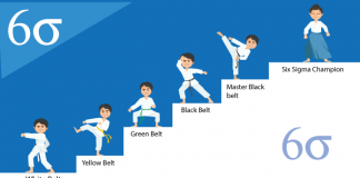 Six Sigma Belt Level Rankings & Roles