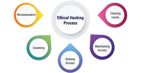 Phases of Ethical Hacking: A Complete Guide to Ethical Hacking Process