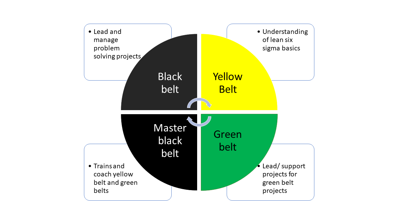 What is deals lean six sigma