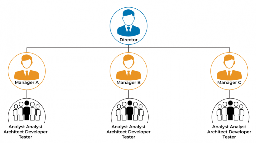 project-based-organization-advantages-disadvantages