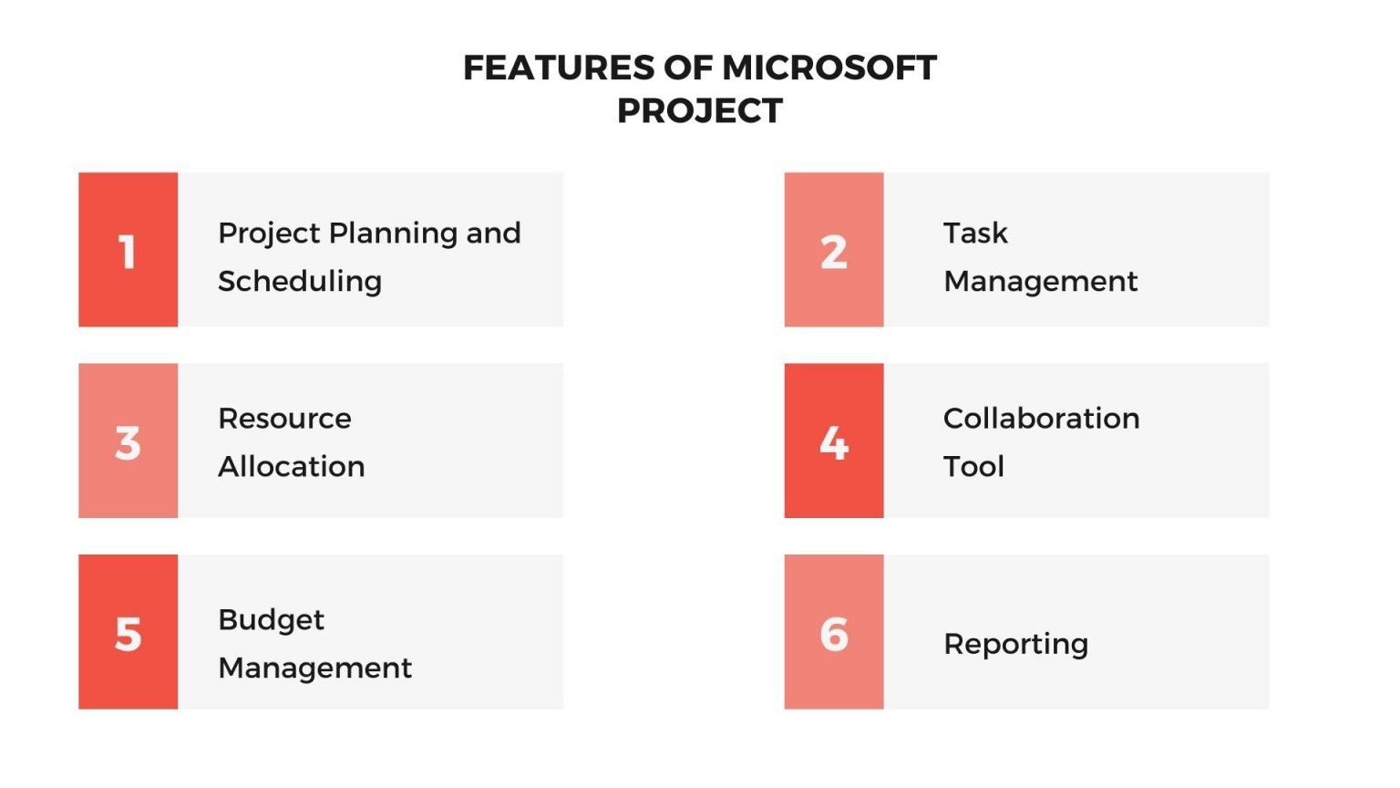 ms project presentation mode