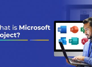 What is Microsoft Project