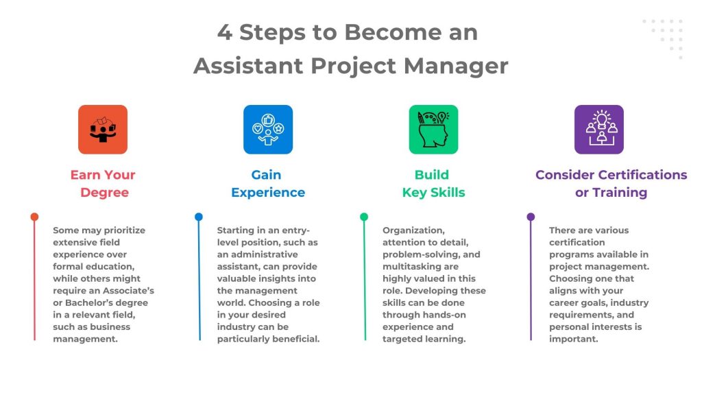 Assistant Project Manager Job Description Roles Skills and