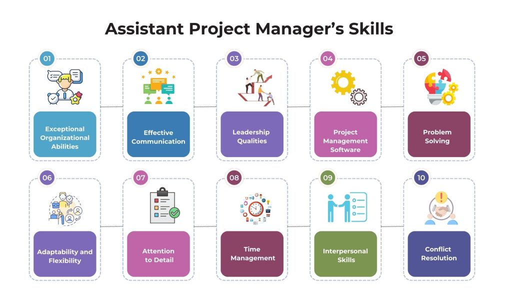 Assistant Project Manager Job Description Roles Skills and