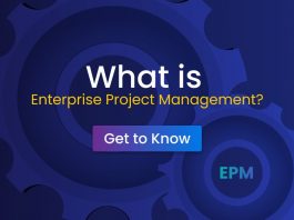 What is Enterprise Project Management