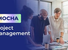 What is MOCHA Project Management