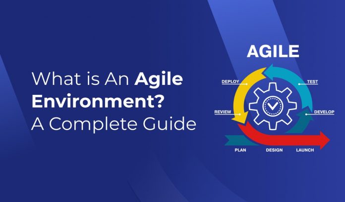 What is an Agile Environment?