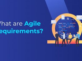 What are Agile Requirements